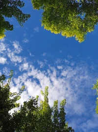 我們在選人的時候，一定要選三觀相吻合、生活愿景彼此一致的人。配圖
