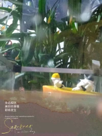 成功的路上，只有奮斗能給自己安全感配圖