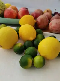 卿目春秋葉，勝于山川晴配圖