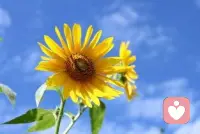 一切重新開始配圖