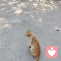 不要因為別人的一句話而奪走你一天的快樂。。。。。配圖