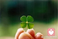 按心理咨詢的規矩，來訪者是不能和咨詢師做朋友的，但是在聯接和咨詢中，不知不覺的有了那種一點點的朋友關系，所謂良師益友，應該就是形容的。咨詢師就像朋友一樣，可以隨意的傾訴，暢所欲言的聊心事，。前題之下，如何選擇咨詢師，如何和諧相處，對于來訪者，真的很重要。配圖