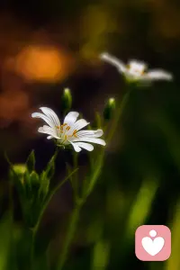 生活就像演戲，越演越假，都連枕邊人都要欺騙，就是生活在虛偽中，連最起碼的信任都沒有。。。。配圖