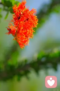 失望到了極致，對于什么都不在乎了配圖