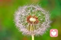 我告訴你我愛(ài)你，
并不是非要和你在一起。
只是希望今后的你，
在遭遇人生低谷的時(shí)候。
不要灰心，
至少曾經(jīng)有人被你的魅力所吸引。
曾經(jīng)是，以后也是。
如果說(shuō)喜歡是想要占有的偏執(zhí)。
愛(ài)就是想要觸碰卻又收回的克制，
我并不奢望有一天能站在你身邊，
我只想讓你知道，
你的光芒曾照亮過(guò)我。配圖