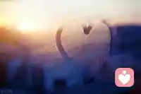 外合適的兩個人，如果不去關心，慢慢就陌生了，
再深的感情不去呵護，慢慢就淡了，冷落久了習慣了，以后就真的再也不需要了，下雨天影子都會走，何況人心呢配圖