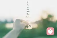 杨绛先生语录
这个世上没有不带伤的人，无论什么时候你都要相信，真正能治愈你的只有自己。不去抱怨，不怕孤单，努力沉淀。世间皆苦，唯有自渡。
生活一半烟火，一半清欢，人生一半清醒，一半释然。愿你内心山河壮阔，
始终相信人间值得。配图