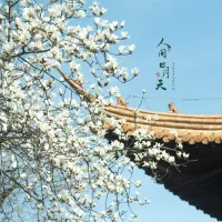 你是一樹一樹的花開，是燕在梁間呢喃。你是愛，是暖，是希望，你是人間的四月天。配圖