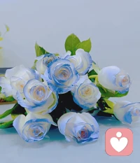 自己也可以取悅自己，
不要在意別人得眼光。
如果你有情緒的問(wèn)題不妨找我聊一聊呀。配圖