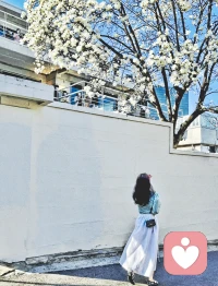 孤獨并不是來自身邊無人。感到孤獨的真正原因是因為一個人無法與他人交流對其最要緊的感受配圖