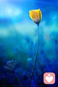 兩會最經典的幾句話

1.何為幸福
白天有說有笑，晚上睡個好覺
2.何為智慧
安排的事能做好，沒安排的事能想到
3何為情商
說話讓人喜歡，做事讓人感動，做人讓人想念
4.何為正能量
給人希望，給人方向，給人力量配圖