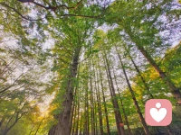 每一個爆發的情緒，

我們都隱藏著一個需要療愈的存在。配圖