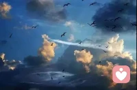 我們不能期待別人隨時體察我們的情緒，沉默換不來別人的幫助，如果我們需要幫助，就要用語言表達出來。


——阿爾弗雷德·阿德勒配圖