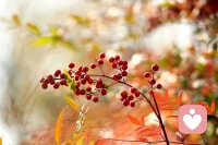 一个人的兴趣越广泛，他拥有的快乐机会就越多，而受命运拨弄的可能性也就越小，因为即使失去了某一种兴趣，他仍然可以转向另一种。
——罗素《幸福之路》配图