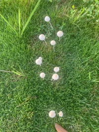 我們每個人都不是完美的，能夠接受自己的不完美那也是一種勇氣和力量。
我們的人性中都有貪婪、恐懼、脆弱等陰暗面。
從小，我們受到的教育告訴我們，要改掉自己的“缺點(diǎn)”，要做得“完美”。卻忽略了一個事實(shí)：
“追求完美，有時是人生最大的迷障。”
想要體驗(yàn)完整的自己，請先接納真實(shí)的自己。我們所遭遇的一切，都是為了自己的內(nèi)心。配圖