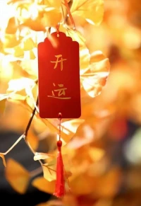 你的眼睛里，
藏著對生活的態度!

當你積極樂觀，
對一切都保有好奇和欣賞，
你的世界也會有趣奇妙.....

生活無好無壞，
你才是自己的主宰!配圖