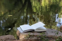每一滴汗水都是明天成功的種子
沒有白走的路
每一步都算數

早安??配圖