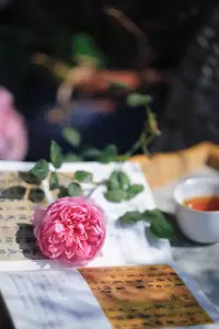接納自己的不完美

不影響自己是個閃閃發光的生命體
?
?缺點≠我不夠好

完整而不是完美，才更真實配圖