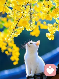 任何時(shí)候，都不要懷疑自己的價(jià)值，也不要懷疑努力的意義

想要什么，就去種下什么種子

與其焦慮未來，不如專注當(dāng)下，把眼前的事做好配圖