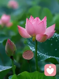 生命本身，是充滿無限動能和感動的

就像，你難過的時候，給媽媽打個電話，媽媽什么都沒說，但你知道了，媽媽知道你不容易，被愛的那個感覺你覺得好幸福呀

還有，你昂揚向上，突破你的限制，勇敢的開始去創造你想要的未來，那種向上的力量

又或者，你終于放下一個執著之后，你的釋然和快樂…

這是生命本身具有的東西，而非金錢，貧賤，不能移的東西呀
?
?生命本身就是一場美好的遇見配圖