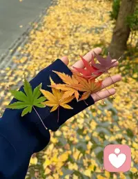 不是每一次努力都有收獲，但是，每一次收獲都必須努力。配圖