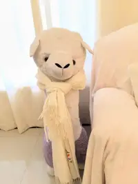 决定情绪的不是事件本身，而是我们对事件的看法，换个视角，乌云也能镶上金边。