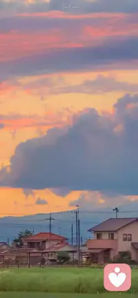 別總因為遷就別人就委屈自己，彎腰的時間久了，只會讓人習慣于你的低姿態，你的不重要。配圖