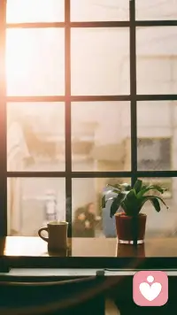 人的精神有三種境界：駱駝、獅子和嬰兒。第一境界駱駝，忍辱負重，被動地聽命于別人或命運的安排；第二境界獅子，把被動變成主動，由“你應該”到“我要”，一切由我主動爭取，主動負起人生責任；第三境界嬰兒，這是一種“我是”的狀態，活在當下，享受現在的一切。
————尼采配圖