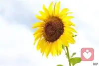 以后，只对两种人好，一种是对我好的人，一种是懂得我的好的人，一个人的温暖是有限的啊，一点都不能浪费。配图