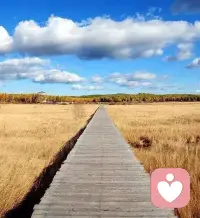 你連想改變別人的念頭都不要有。
作為老師要學習太陽一樣，只是發出光和熱，每個人接收陽光的反應有不同，有人覺得刺眼有人覺得溫暖，有人甚至躲開陽光。種子破土發芽前沒有任何的跡象，那是因為沒到那個時間點。永遠相信每個人都是自己的拯救者。
——榮格配圖