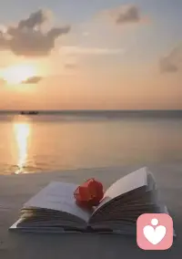 当你的修为越来越高的时候，你开始理解身边的每一个人，没有好坏，没有对错，处在不同的能量频率，呈现出不同的状态。进而做出不同的选择，所以请允许你自己做你自己，也允许别人做别人。👍配图