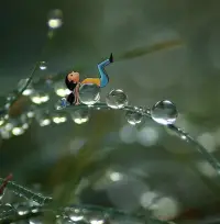 你什么時(shí)候放下，什么時(shí)候就沒(méi)有煩惱。配圖