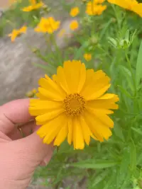 人生一半努力，一半隨緣
生活一半詩意，一半煙火

工作一半學習，一半成長
日子一半愛自己，一半愛他人
—————————————
因上努力，果上隨緣。配圖