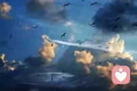 夢是神秘的又是普通的，是正常睡眠的標志，也是健康的標志。配圖