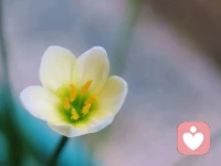 孩子們對于變化的反饋，比大人情緒化得多。配圖