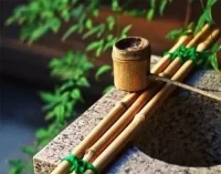 溫和的語言不會激活人的保護(hù)本能能夠更好地滲透到他人心中，并產(chǎn)生所希望的影響。配圖