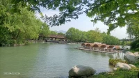 無論順境還是逆境，它都造就了現(xiàn)在的你。人生就是在經(jīng)歷不同的境遇，獲得經(jīng)驗成就自己，相信:一切都是最好的安排……配圖