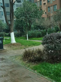 所有問題背后都是關(guān)系出了問題配圖