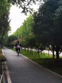 路邊的花兒，真美配圖