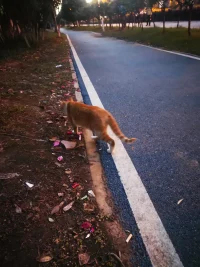美就在家門前配圖