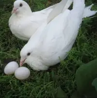不是看你說了什么？而是看你想要什么？配圖