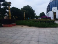 和父母的關系，就是和世界的關系。在公司害怕領導，實際上反映TA在家爸爸的權威讓TA自卑配圖