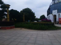 人生不是解決問題，人生是來回應問題的配圖