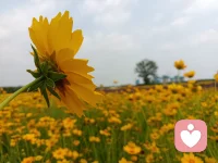 人的一生中最難的不是掙不到錢，難的是當你發現你的認知和思維并不能被理解和認可，而你卻無力改變周圍卻放不下想要改變別人的念頭，這有時候會讓我們感到焦慮，學會放下，放手，寬容和愛是多么重要配圖
