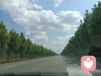 生活中太多的人愛驗(yàn)證自己質(zhì)疑的對(duì)錯(cuò)，孰不知當(dāng)你有了驗(yàn)證的想法時(shí)，你就輸了，尤其是夫妻或朋友間的驗(yàn)證，證明自己對(duì)了的時(shí)候起了情緒，不對(duì)的時(shí)候輸了感情，當(dāng)你還想快樂的時(shí)候，那就糊涂一些吧，難得糊涂是一種境界和格局，是一種智慧的呈現(xiàn)配圖