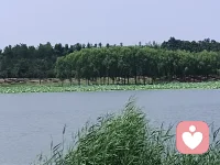 我們無法給予我們沒有的東西，就像愛，自己愛的匱乏，如何能去愛別人配圖