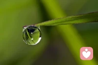 逆境也可以說是一種挫折，面對挫折是我們不要退縮，更不要埋怨挫折對我們無休止的折磨，要學會用心靈去打磨挫折，用熱情去迎接挫折用堅韌不拔的意志去戰勝挫折。配圖