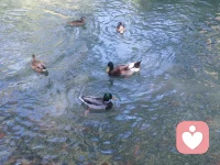 諾大的北京，千萬的人口，幾平的小屋，孤寂的涼夜，無言的對白，滿滿的戒備，放下吧！聊聊天！說說話！給夜一分暖意！給己十分滿足！配圖