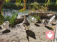 諾大的北京，千萬的人口，幾平的小屋，孤寂的涼夜，無言的對白，滿滿的戒備，放下吧！聊聊天！說說話！給夜一分暖意！給己十分滿足！配圖