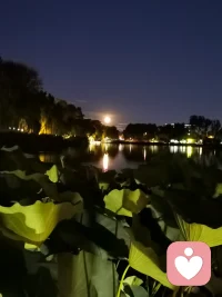 溫馨夜話，開啟了！歡迎加入！配圖